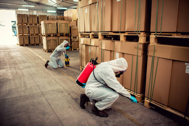 Best Termite Control Services  in Bnchard, LA
