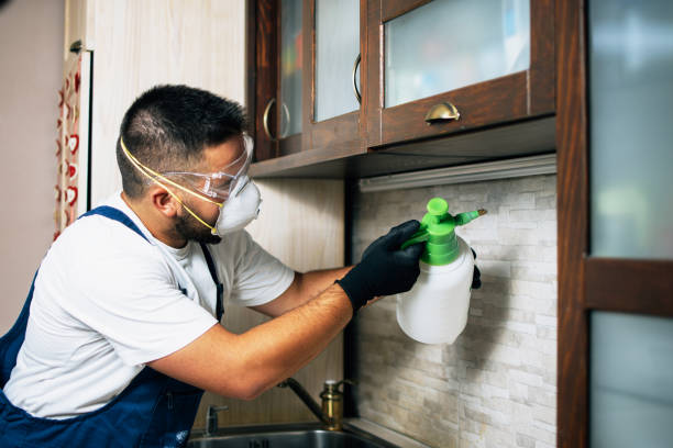 Best Flea Control Services  in Bnchard, LA