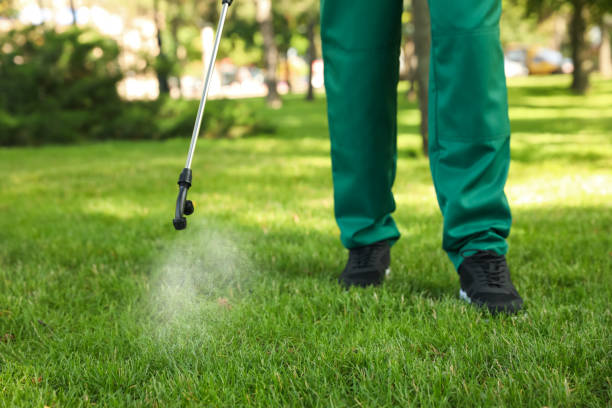 Best Affordable Pest Control Services  in Bnchard, LA