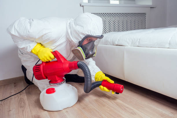 Best Bed Bug Extermination  in Bnchard, LA