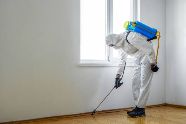 Best Residential Pest Control  in Bnchard, LA