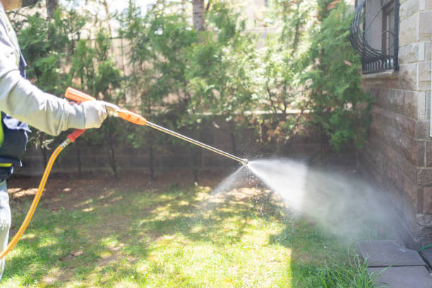 Best Commercial Pest Control Services  in Bnchard, LA