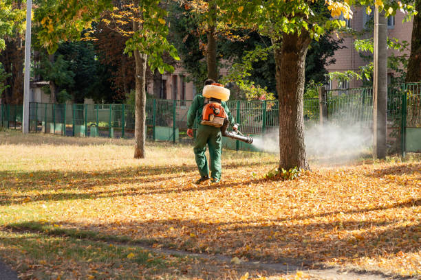 Best Local Pest Control Services  in Bnchard, LA