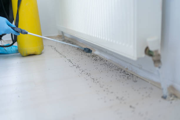Best Pest Control for Restaurants  in Bnchard, LA